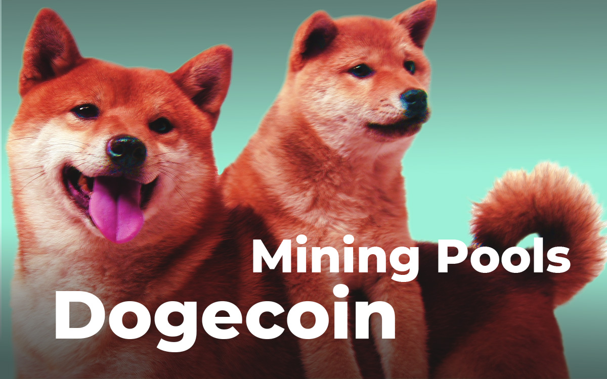 Best Dogecoin Mining Pools: Everything You Need to Know